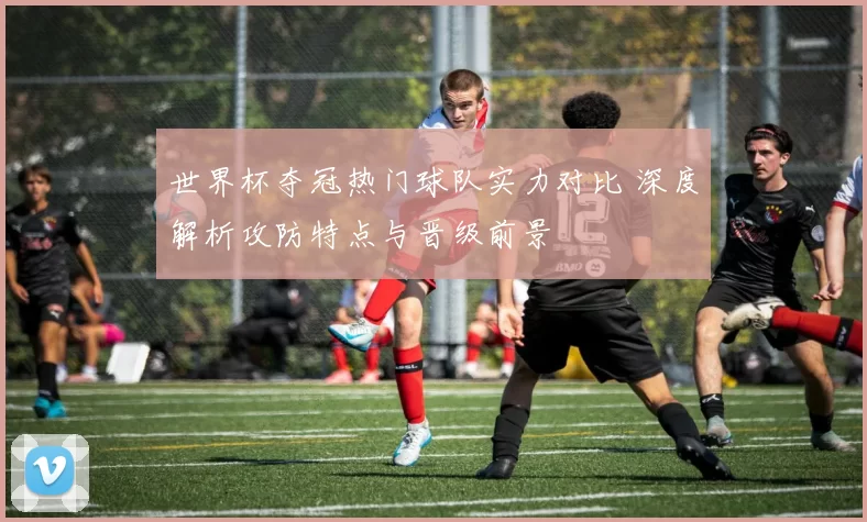 世界杯夺冠热门球队实力对比 深度解析攻防特点与晋级前景
