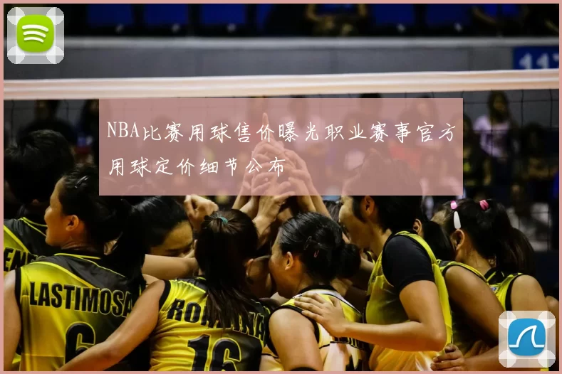 NBA比赛用球售价曝光职业赛事官方用球定价细节公布