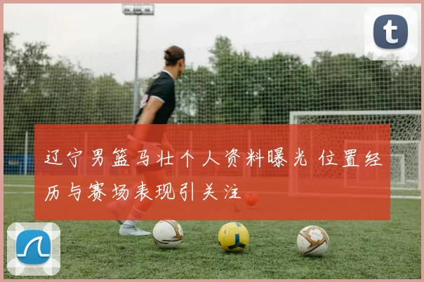 辽宁男篮马壮个人资料曝光 位置经历与赛场表现引关注