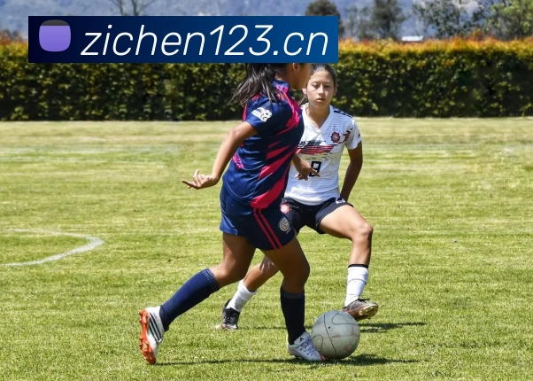 九游会·j9官方网站 - 全新游戏模式，挑战自我!平台生态图